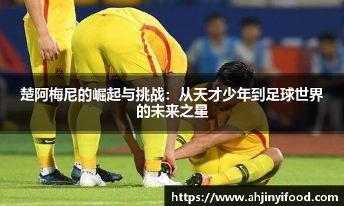 球盟会qmh