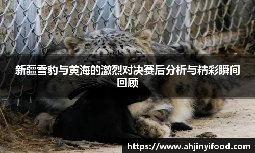 球盟会体育